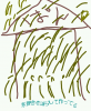 oogiriphp_1072.jpg
